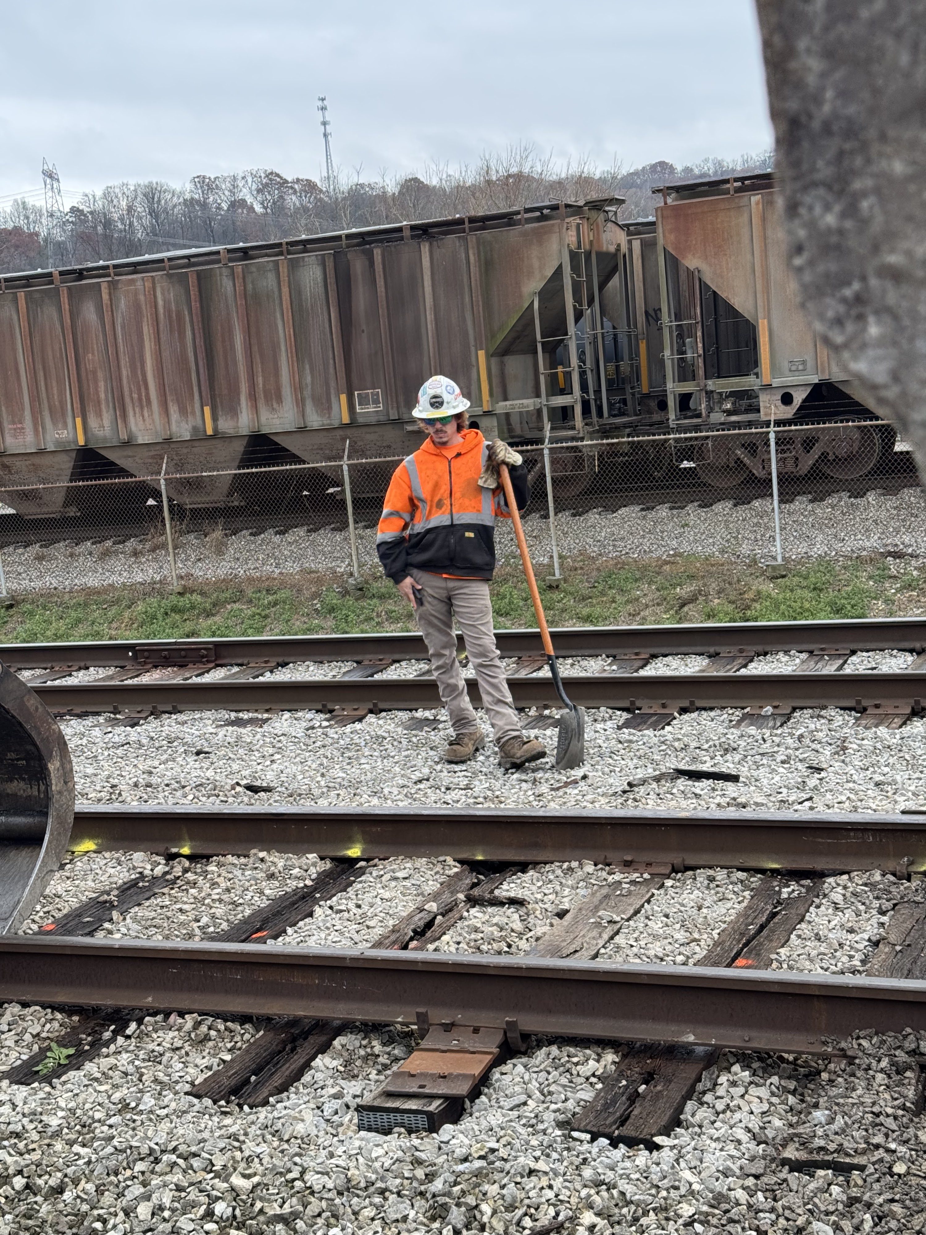 Professional grading services